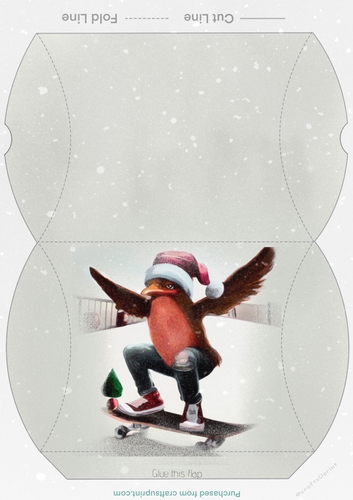 Skateboarding Robin Christmas Pillow Gift Box