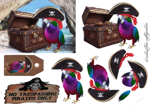 Parrot Pirate Any Occasion