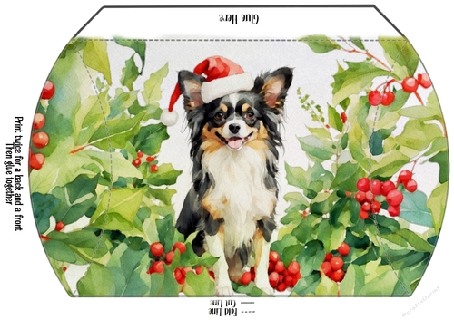 Papillon Pillow Box Gift Box