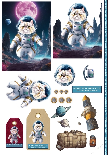 Space Cat Birthday Card Sheet