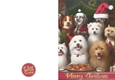 Christmas Dogs Quick Card