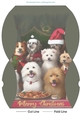 Christmas Dog Pillow Box