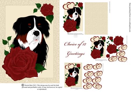 Bernese Mountain Dog with Roses Card Kit
