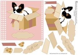 Papillon with Love