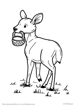 Roan the Deer with Basket
