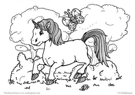 Baby Unicorn