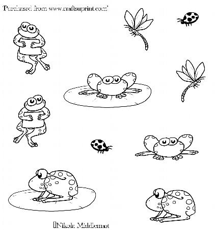 Little Frogs