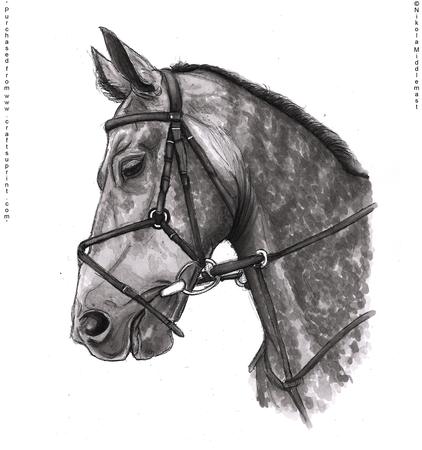 Dapple Horse Head