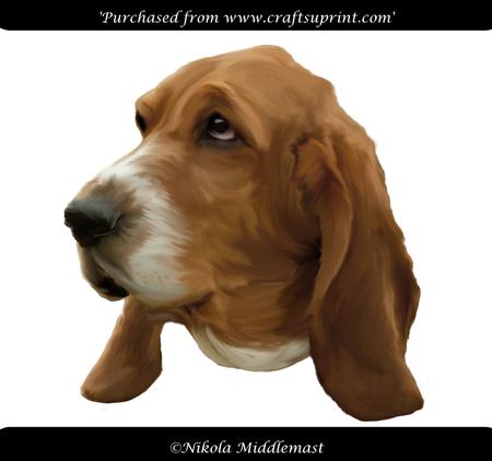 Basset Head
