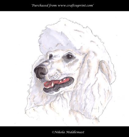 Poodle Head Doddle