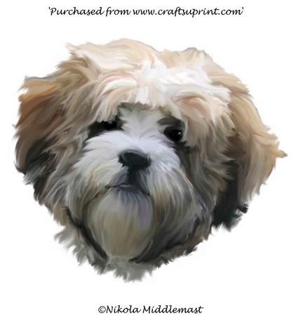 Shichon Face