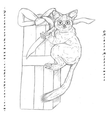 Bush Baby Gift