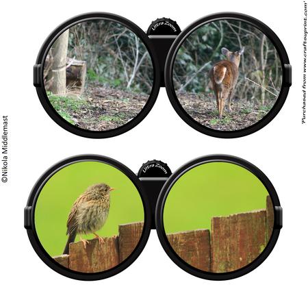 Binocular Set 2