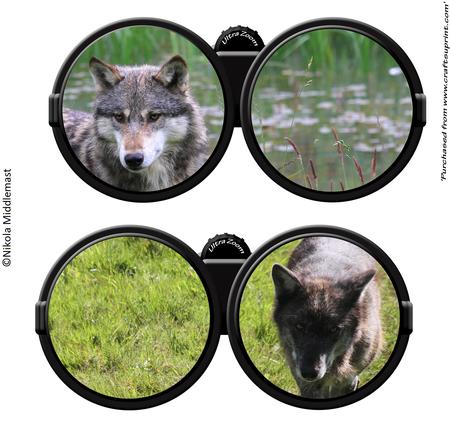 Binocular Set 4