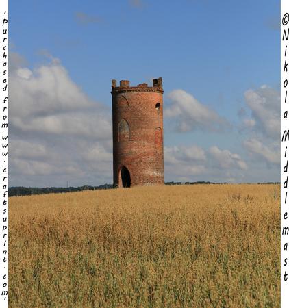 Within the Field
