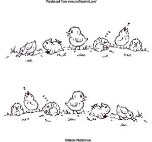 Chicks Play Time