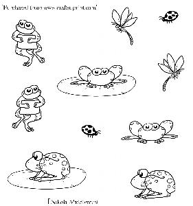 Little Frogs