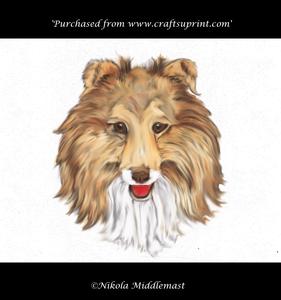 Sheltie Head
