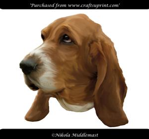 Basset Head