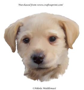 Golden Puppy