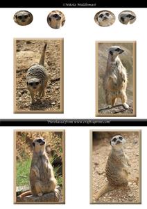 Simples Tags