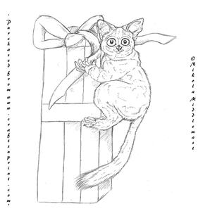 Bush Baby Gift