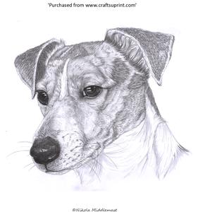 Terrier Gaze