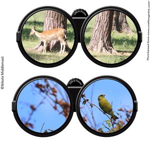 Binoculars View
