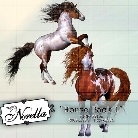 Horse Pack 1