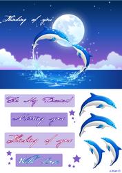 Thinking of You - Dolphin