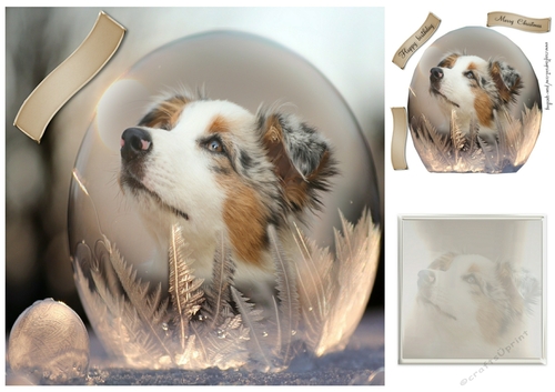 dog in a snowdrop