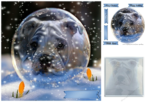 bulldog in a snowdrop