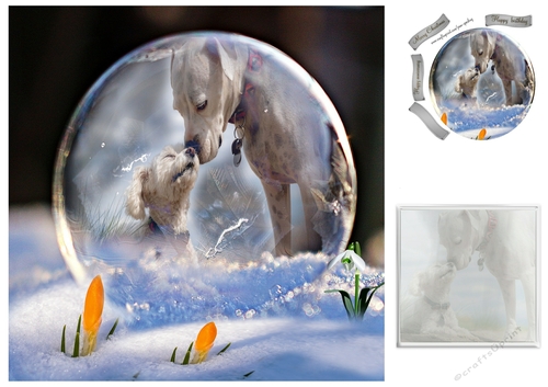 best friends in a snowdrop