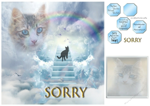 loss of a cat