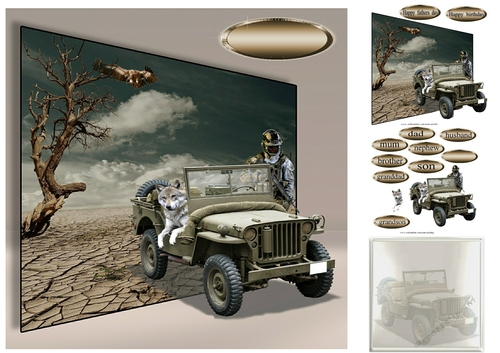 desert patrol
