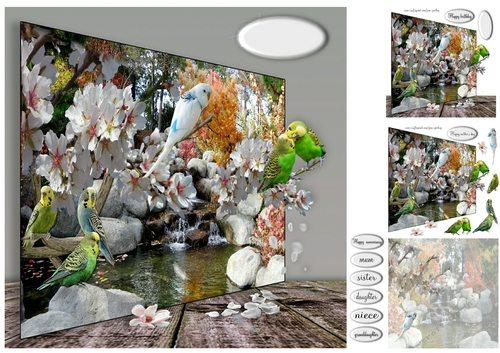 budgies at the waterfall
