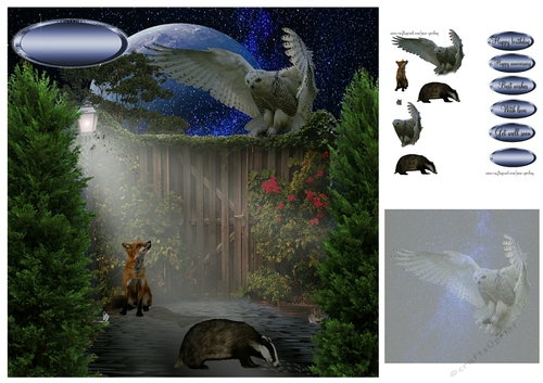 in the night garden