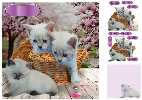 basket of kittens