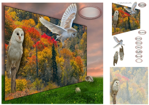 owls hunting 
