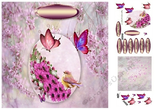 butterflies and flowers