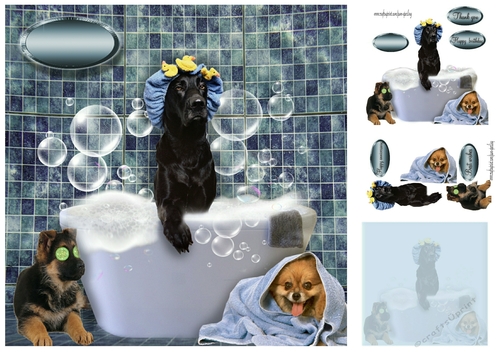 doggie spa day