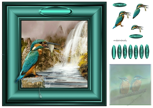 the kingfisher