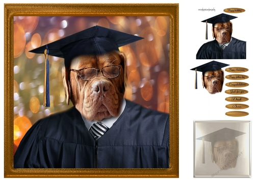 the Graduate