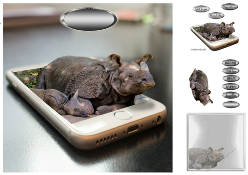 rhino and baby
