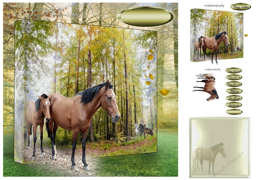 horse and foal