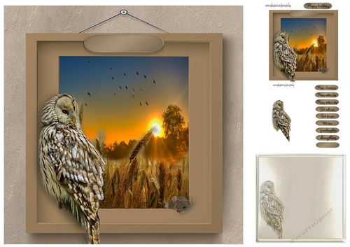 owl in the wheat