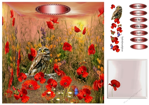 owl in the poppies