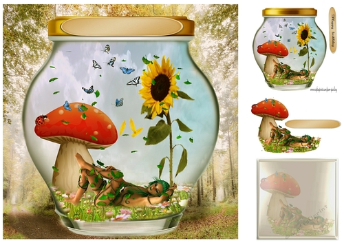fairy in a jar 