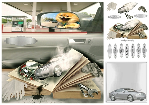 the book of cars