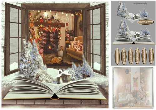 the book by the window 